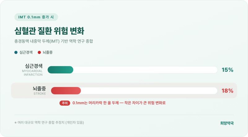 경동맥 초음파 받았는데, IMT 수치 어떻게 읽어야 하나요?