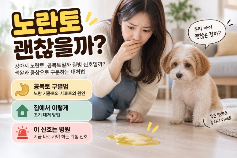 강아지 노란토, 공복토일까 질병 신호일까? 색깔과 증상으로 구분하는 대처법