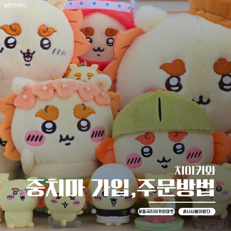 타오바오 중국 치이카와 마켓 '중치마' 가입 및 직구 방법