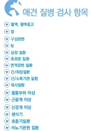 강아지 건강검진 비용 10만원인 줄 알았는데 100만원⁉️ 검사 전 반드시 빼야 할 항목까지 공....