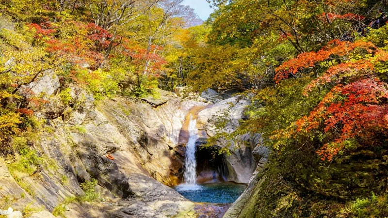 설악산 주전골 단풍 여행, 오색약수에서 용소폭포까지 걷는 가을 트레킹