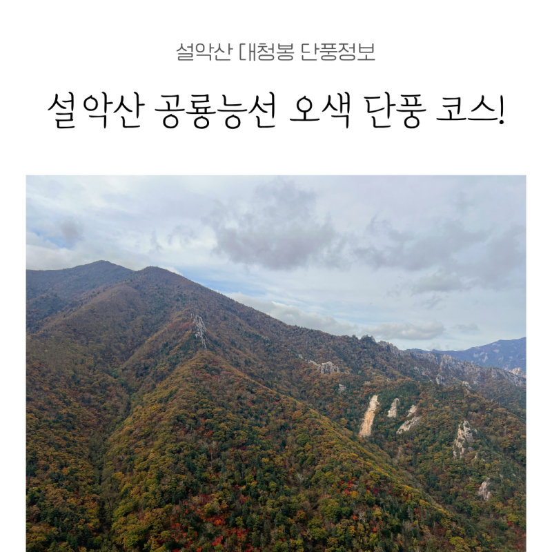설악산 공룡능선 10월 3일 실시간 단풍, 새벽 3시에 이 인파 실화?