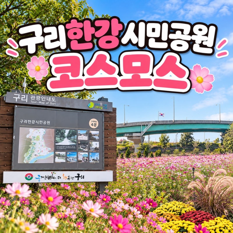 구리한강시민공원 코스모스 가을이 여기 다 모여있네요