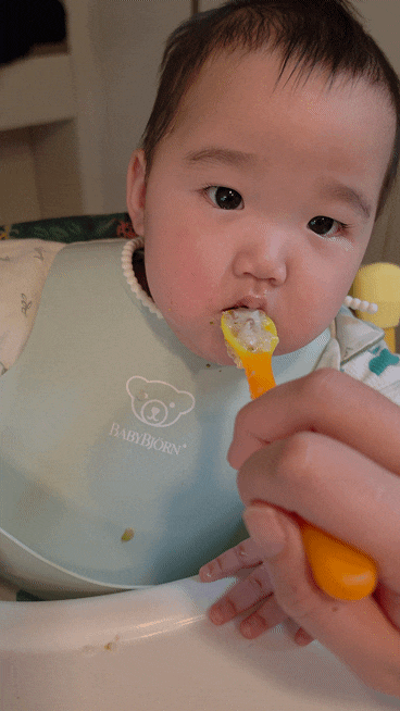 8개월 아기 이유식 거부 탈출! 퍼기 칸막이로 만든 초간단 밥솥이유식 레시피 (완밥 성공기)