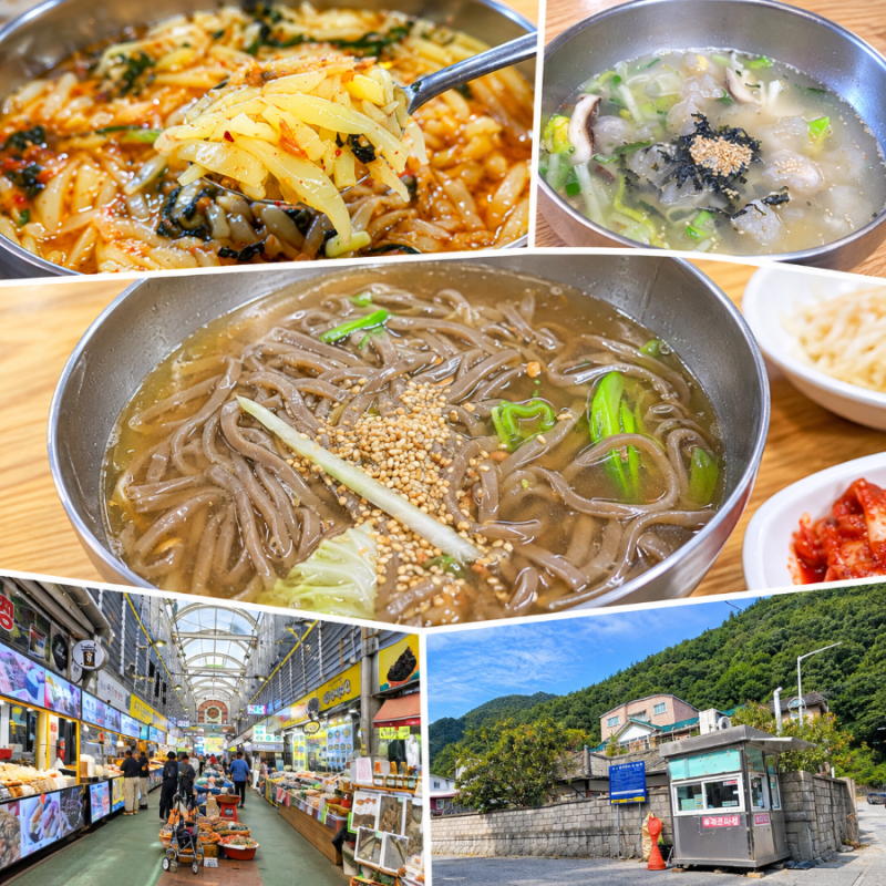 정선 아리랑시장 애견동반 구경하기! 올챙이국수&콧등치기국수 먹기(주차장 주의사항)