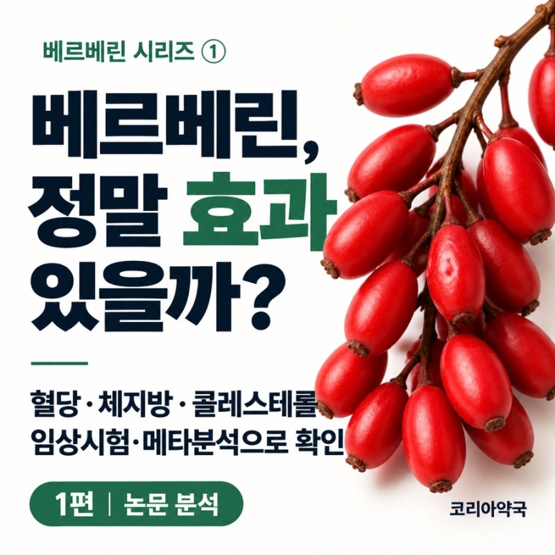 [베르베린 1편] 베르베린 효과 논문 분석｜혈당·체지방·콜레스테롤 임상시험과 메타분석을 ....