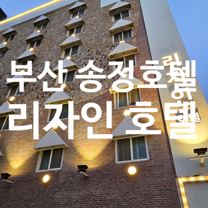Busan Songjeong Hotel Recommendation: Rejaan Hotel, a Great Value Accommodation with a Good Location Near Restaurants