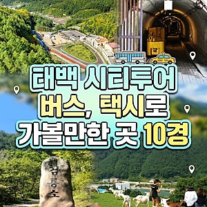 태백 시티투어 버스, 택시로 가볼만한 곳 10경
