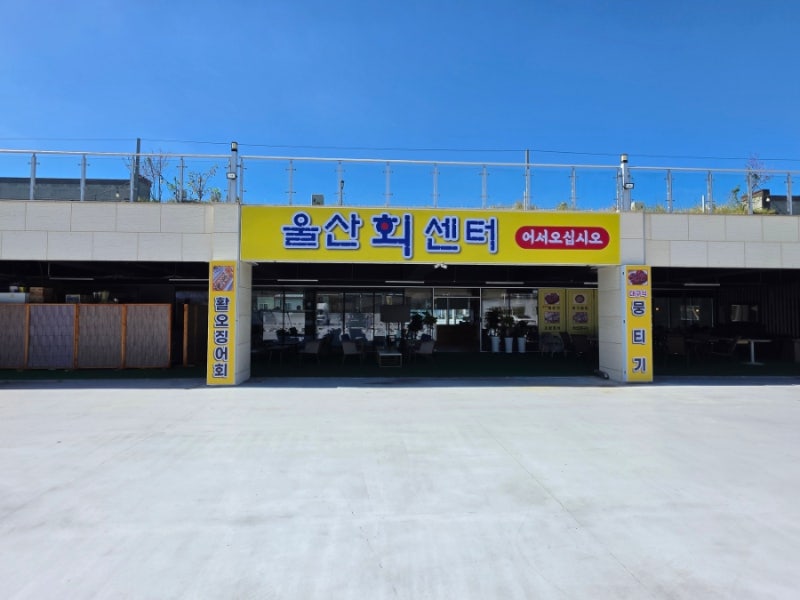울산북구 물회맛집 울산회센타 진장동에 있어
