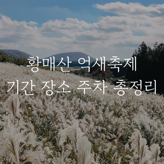 황매산 억새축제 기간 2026년 목수국 주차 장소 셔틀 준비물 합천 가볼만한 곳