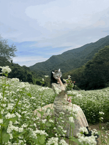 October Must-Visit: Chujeong-ri Buckwheat Flower Field in Cheongju (Recommended by Locals) | Parking, Tips, Admission, Bloom Status, Buckwheat Flower Bouquet