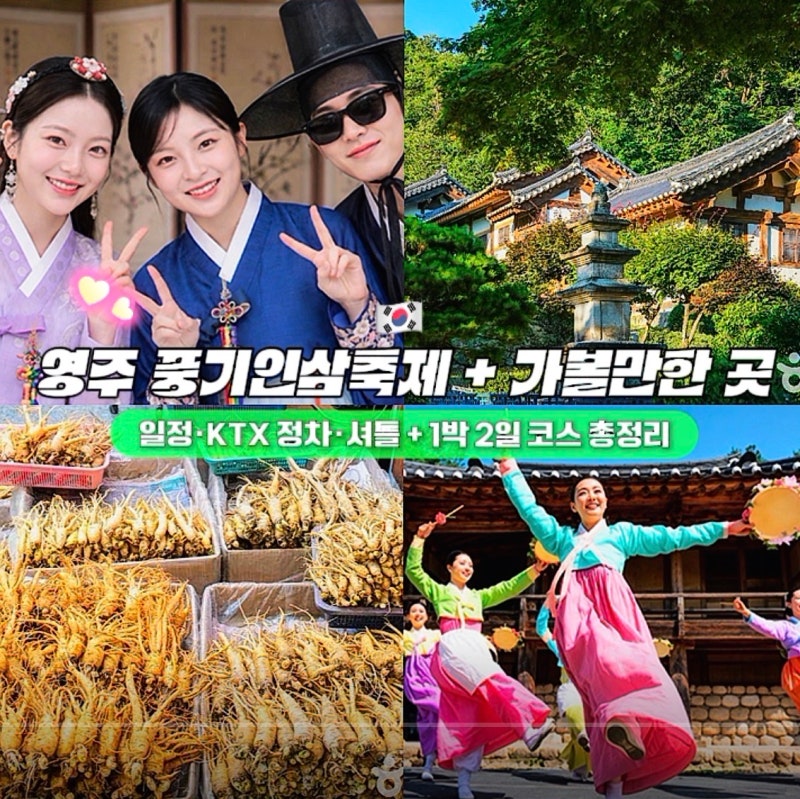 영주 풍기인삼축제 홍보영상 화제, 일정·KTX 정차·셔틀 + 1박2일코스 총정리