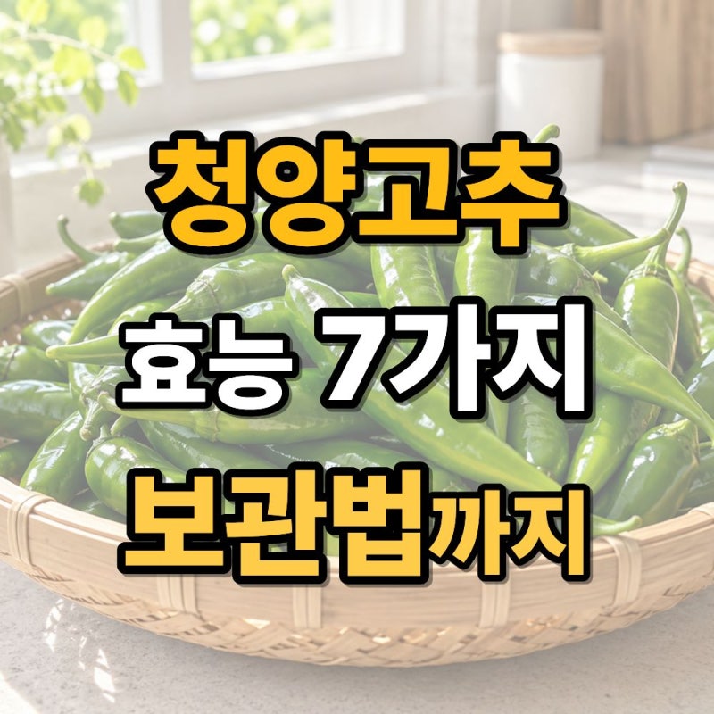 청양고추 효능 7가지, 오래 두고 먹는 보관법까지