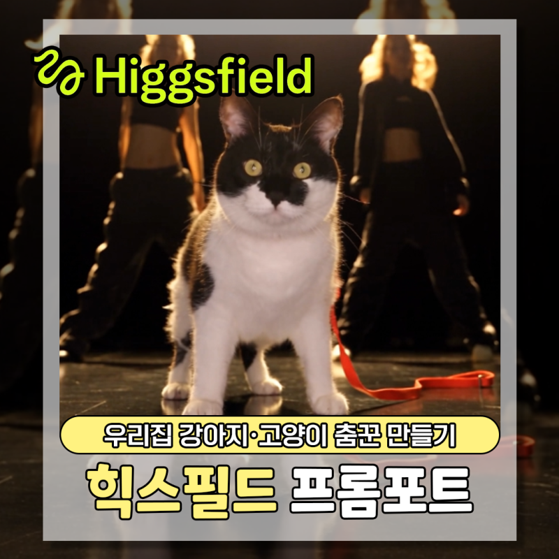 힉스필드 ai로 우리집 강아지·고양이 춤꾼만들기, 프롬포트 첨부