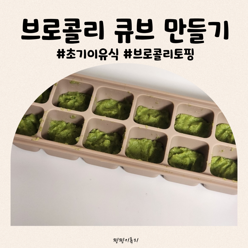 초기 이유식 브로콜리 큐브 만들기, 브로콜리 좋은 궁합은?