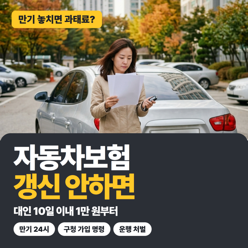 자동차보험 갱신 안하면 어떻게 될까? 대인 과태료는 10일 이내 1만 원부터!