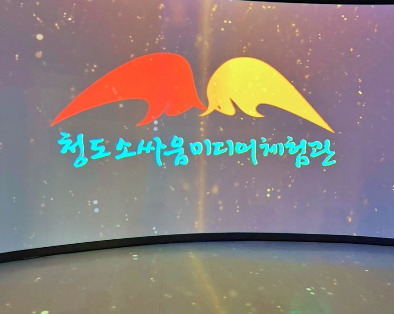 청도 아이랑 가볼만한곳 소싸움미디어체험관 실내 놀이방 체험