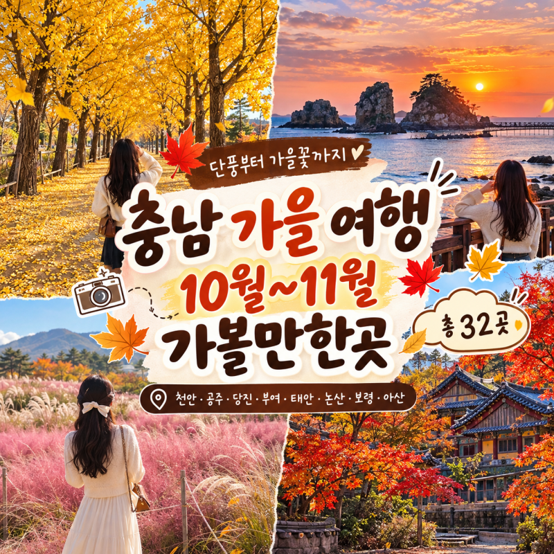 충남 가을 여행 10월~11월 가볼만한곳, 단풍구경부터 핑크뮬리까지