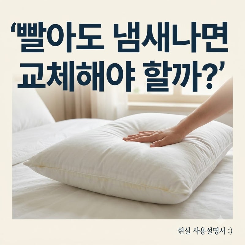 베개에서 냄새가 날 때 세탁보다 교체를 생각해야 하는 기준