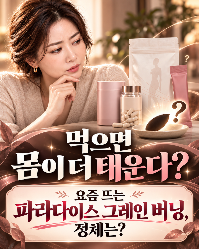 파라다이스 그레인 버닝, 40대 다이어트가 주목한 이유 3가지
