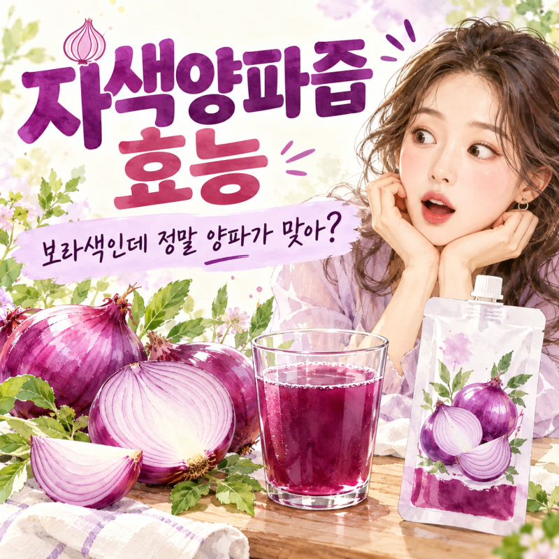 자색양파즙 효능 보라색인데 양파가 맞아? 퀘르세틴·안토시아닌부터 먹는법까지