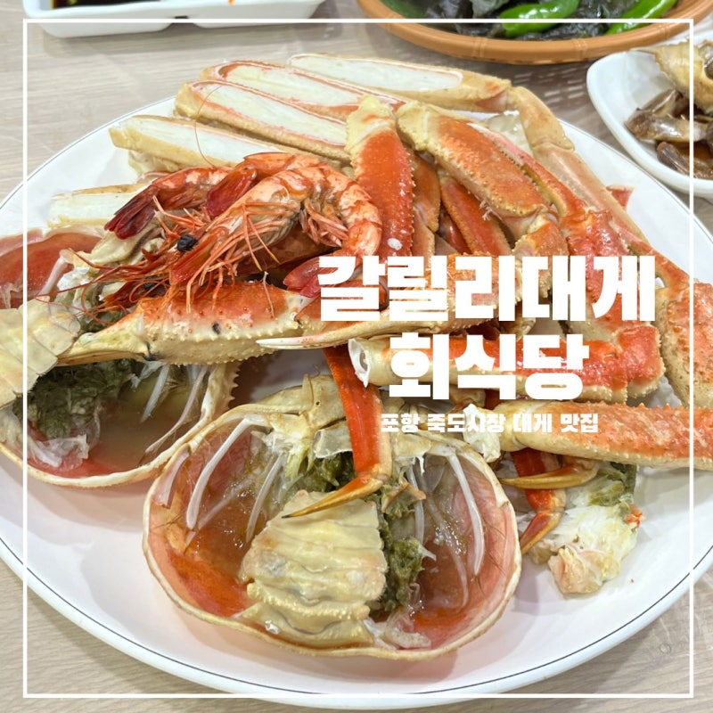 포항 대게 맛집 갈릴리대게회식당｜죽도시장에서 대게부터 회, 물회까지