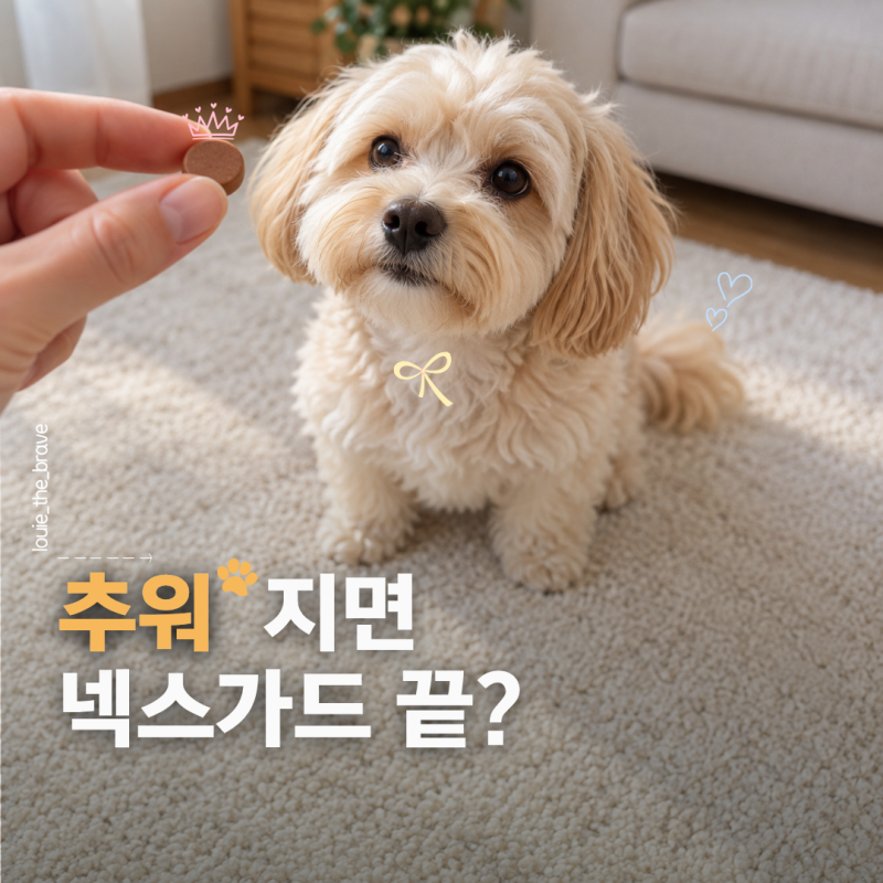 넥스가드 스펙트라 30일 주기, 언제까지 먹여야 할까