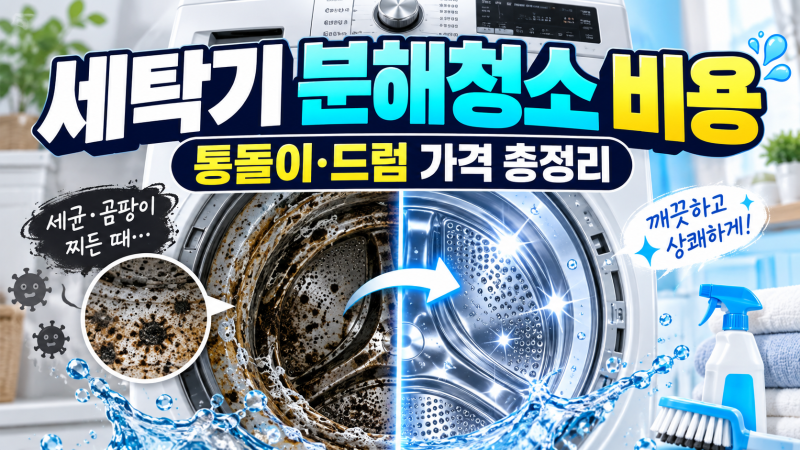 세탁기 분해청소 비용 얼마일까?｜통돌이·드럼 청소 가격과 주기 총정리