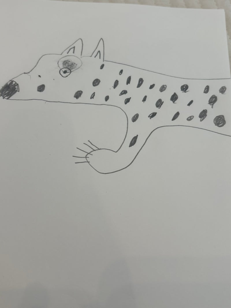 아메리카 치타 고양이 (Americas Cheetah-cat)
