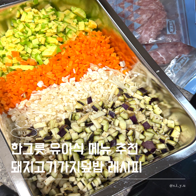 돌아기 한그릇 유아식 메뉴 추천 아기 덮밥 레시피 돼지고기가지덮밥