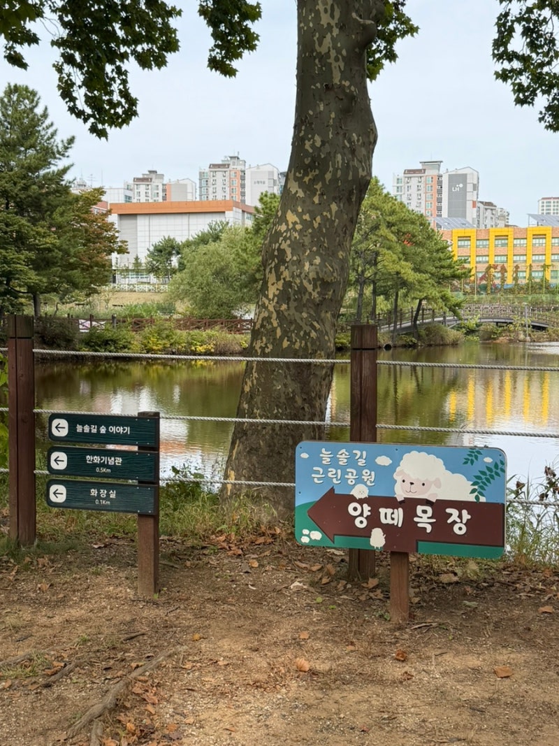 인천 아이와 가볼만한곳 늘솔길공원 양떼목장 주차 유모차 피크닉 후기