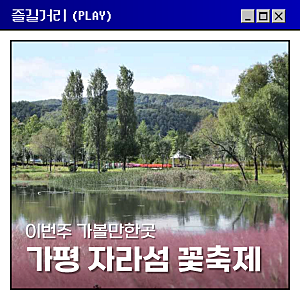 2026 가평 자라섬 꽃축제 입장료 주차 개화현황 총정리