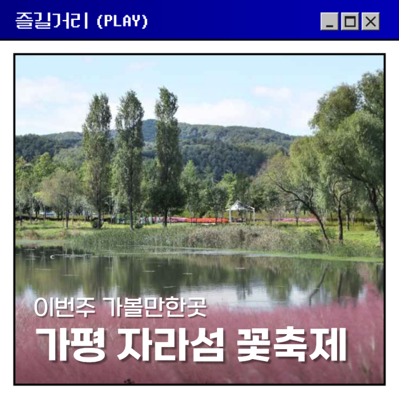 2026 가평 자라섬 꽃축제 입장료 주차 개화현황 총정리