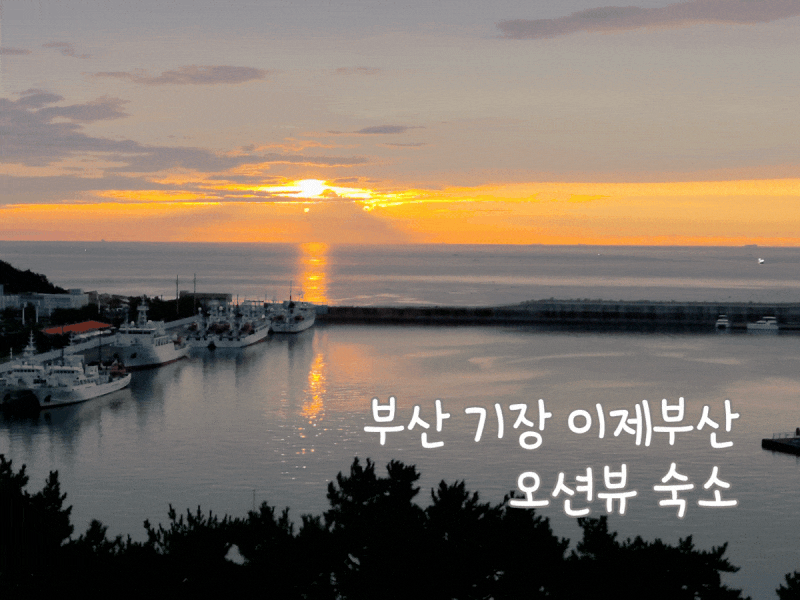 부산 기장 이제부산 숙소 후기｜조식·석식 포함 1박 2일 태교여행, 오션뷰 호캉스