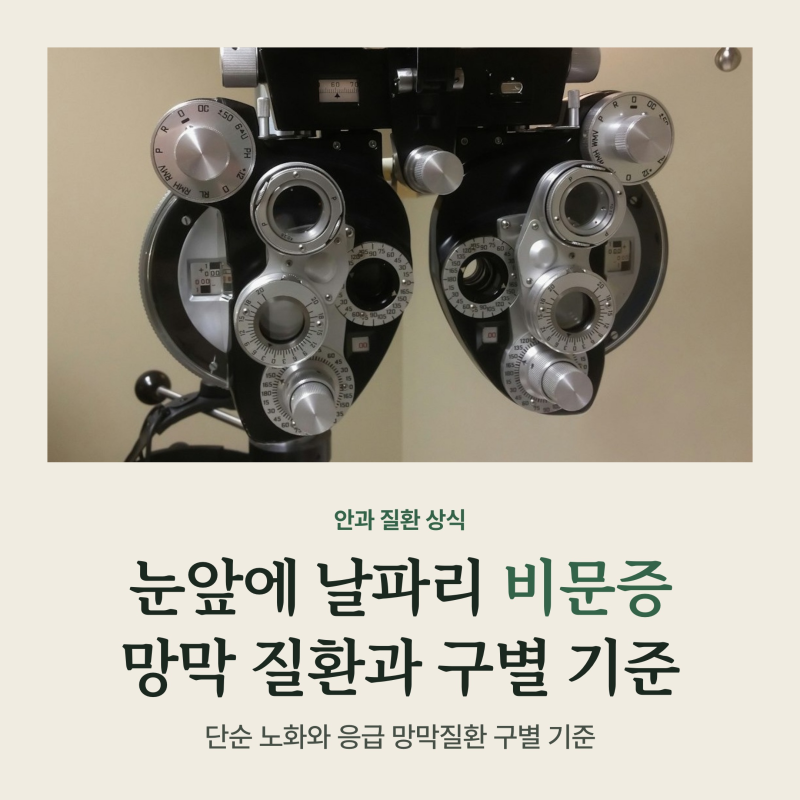 비문증 눈앞에 날파리 떠다닐 때 원인, 망막박리 의심 신호 3가지