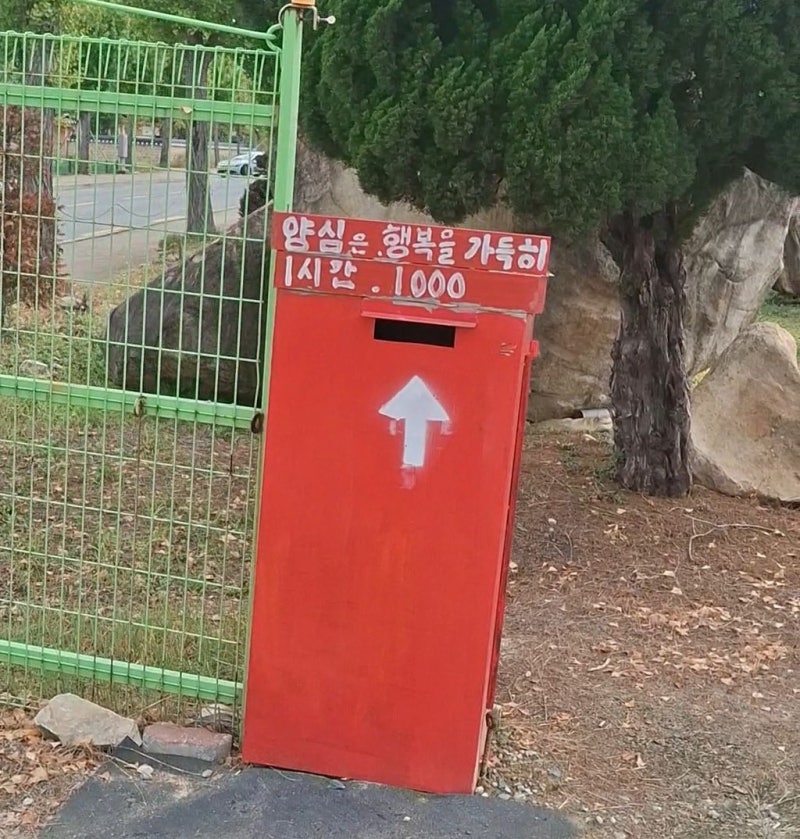 나만 알고 싶었던 경주 황리단길 주차장! 1시간 천원 양심 주차 공간 꿀팁!