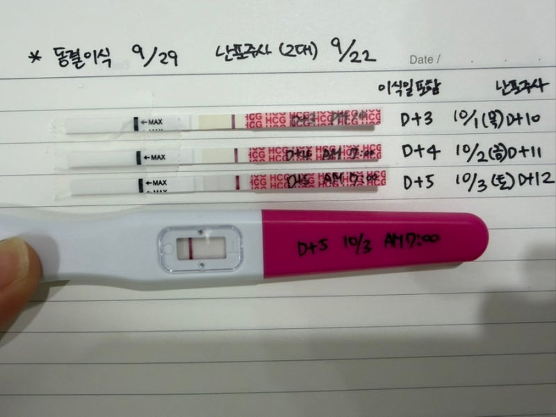 [난임일기] PART 11. 부산 마리아 병원 _ 동결이식 증상( 1일차-6일차 ) 및 난포주사 영향 임테기