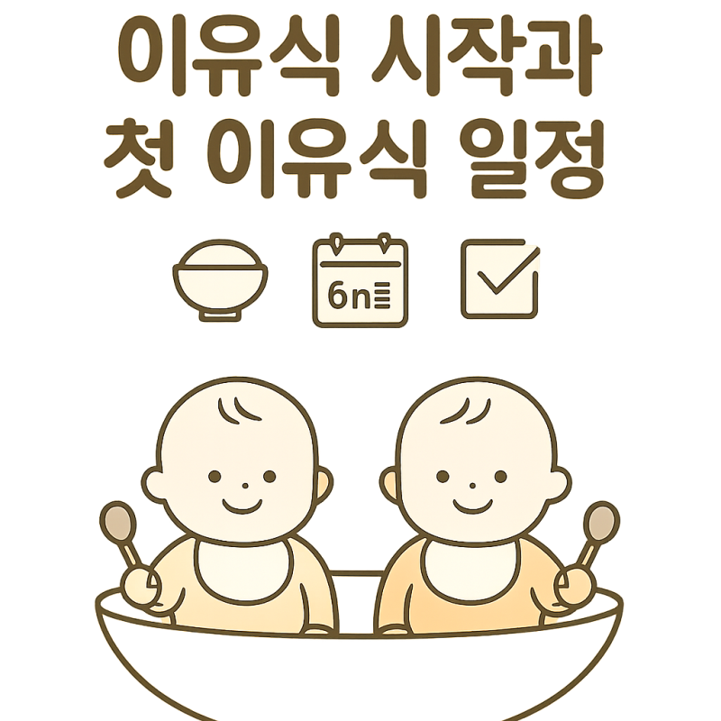 이유식 시작 시기 총정리｜생후 6개월·180일 기준과 초기 이유식 식단표