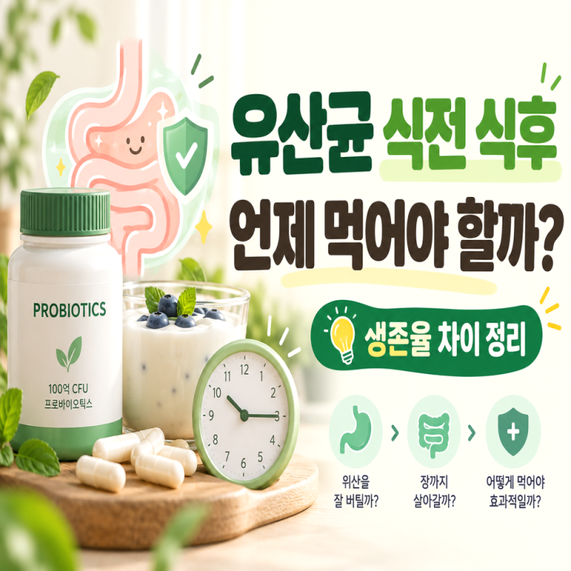 유산균 식전 식후 생존율 차이, 언제 먹는 게 좋을까?