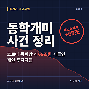 [개미 게임 - 오너리스크 2019-2023] 동학개미운동 정리 | 코로나 폭락장에서 개인 투자자들이 ....