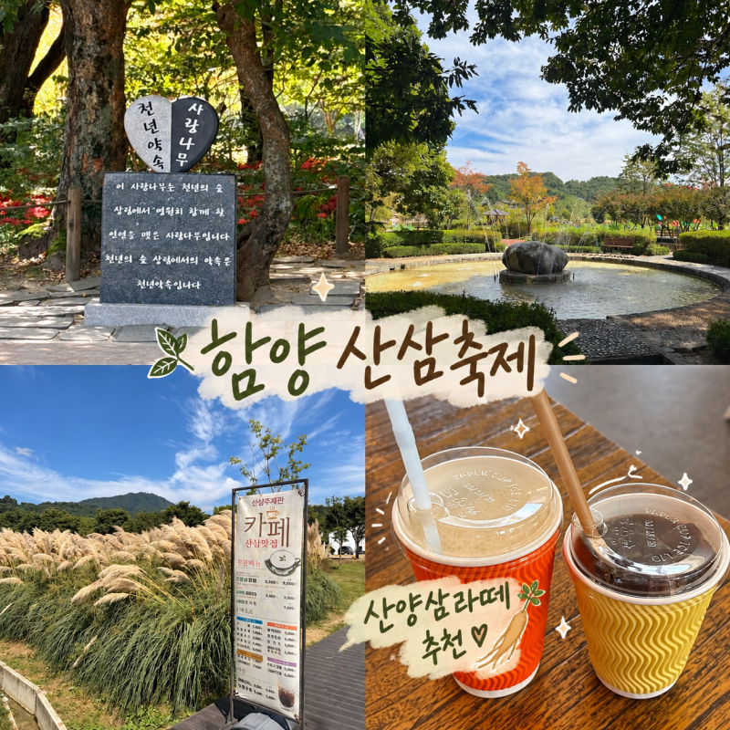 경남 함양 2026 산삼축제 초대가수 상림공원 주차 산양삼라떼 후기