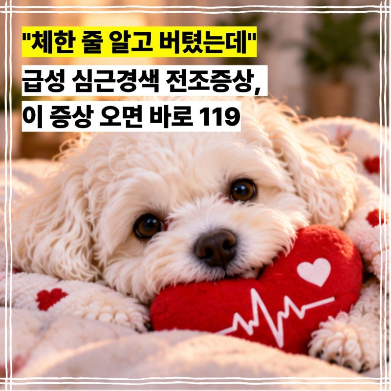 "체한 줄 알고 버텼는데" 급성 심근경색 전조증상, 이 증상 오면 바로 119