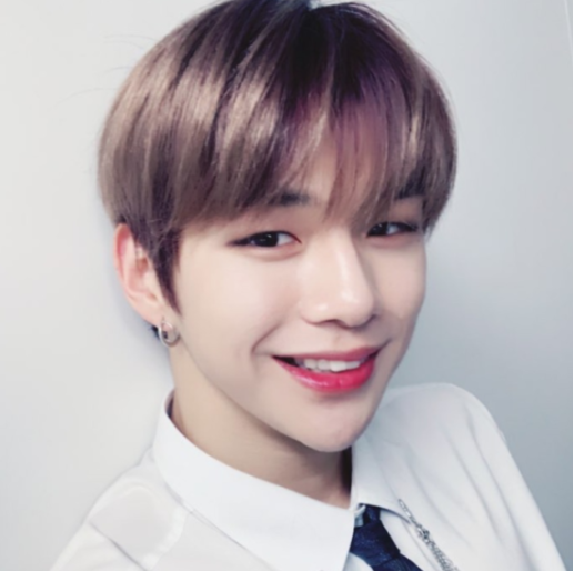 강다니엘 프로필 고향 나이 학력 혈액형 MBTI 사건사고 연기 워너원 군복무 현대무용 열애설