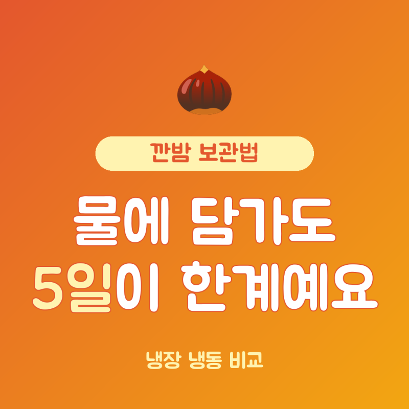 깐밤 보관법 냉장 vs 냉동, 물에 담가도 5일이 한계예요