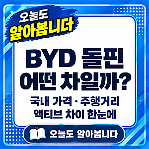 BYD 돌핀 어떤 차일까? 국내 가격·주행거리·액티브 차이까지 한눈에