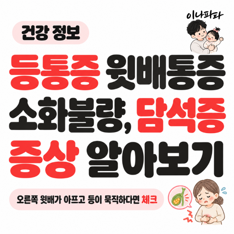 등통증 윗배통증 소화불량, 담석증 증상 알아보기