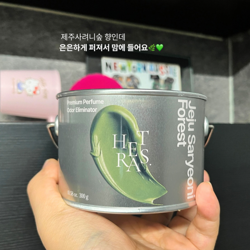 헤트라스 고체탈취제 솔직후기｜위프와 달랐던 점