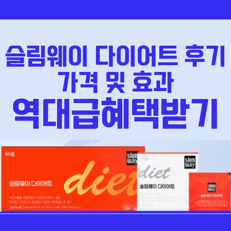 두드림 슬림웨이 다이어트 가격 고현정 살빼는법 후기