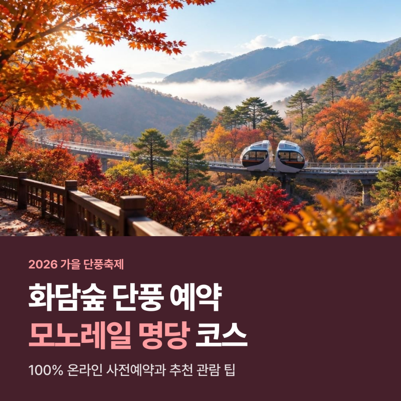 화담숲 단풍 예약과 모노레일 예매 꿀팁, 대기 줄 없는 명당 도보 코스 3곳