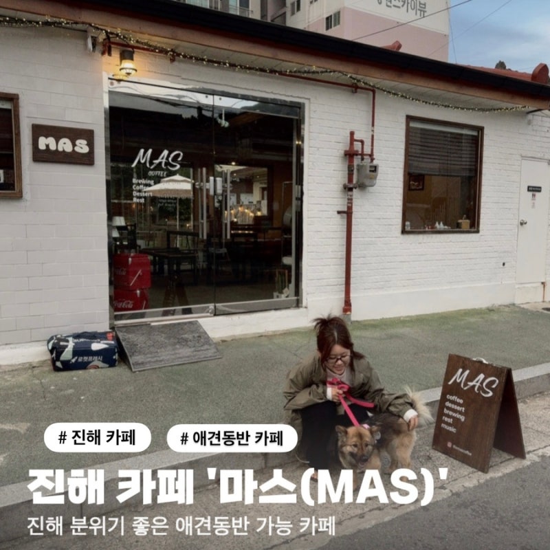 [창원 진해] 분위기 좋은 애견동반 실내/실외 카페